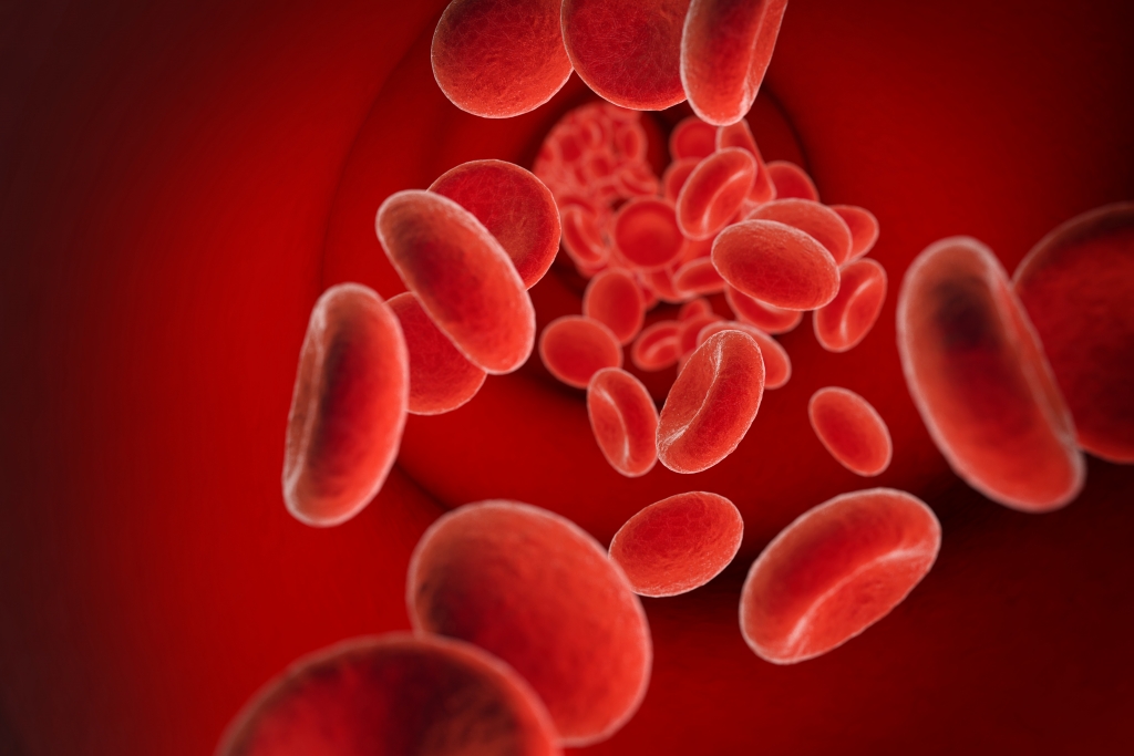 red cells in bloodstream, 3D illustration