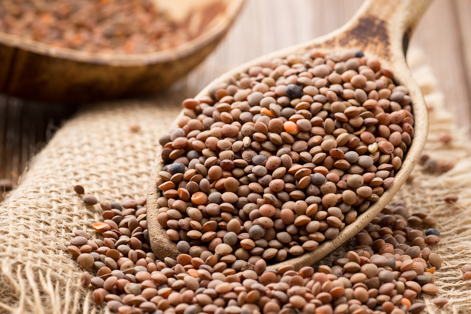 Lentils wooden spoon on wooden background. Healthy food.